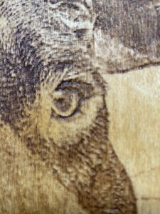 Detail foto op hout